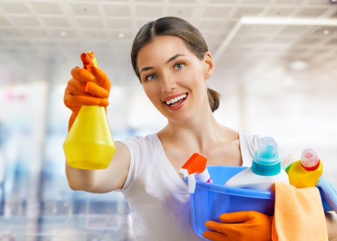 Enzyme cleaning process for pet urine stain removal in Manor House