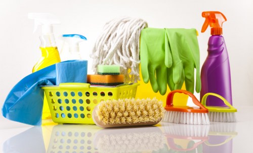 Professional carpet cleaning equipment in a domestic hallway