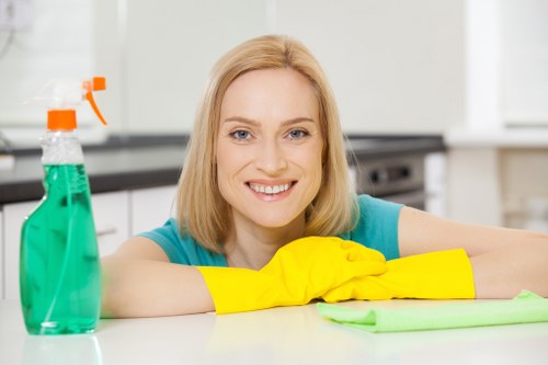 Deep cleaning a patterned carpet in a manor interior