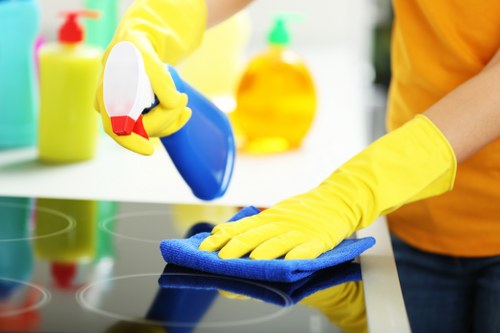 Deep cleaning treatment for pet odour removal in a Manor House home