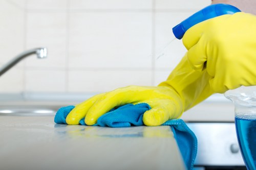Experienced Manor House carpet cleaners handling different carpet materials