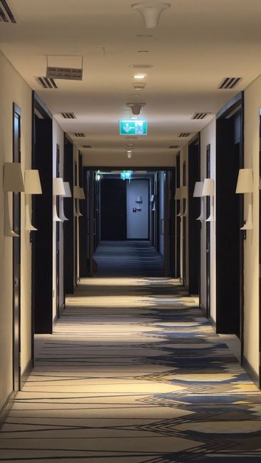 Interior view of a grand stairway leading down to a hallway with polished stone flooring in a well-lit building. The stairway has a dark, striped carpet runner, and the cream-colored balustrades featu